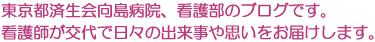 東京都済生会向島病院、看護部のブログです。看護師が交代で日々の出来事や想いをお届けします。